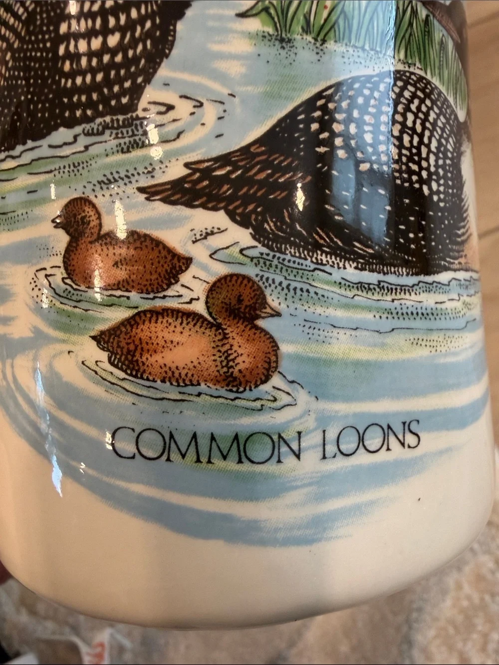 Decorative Vase with Common Loons Artwork Ducks Birds